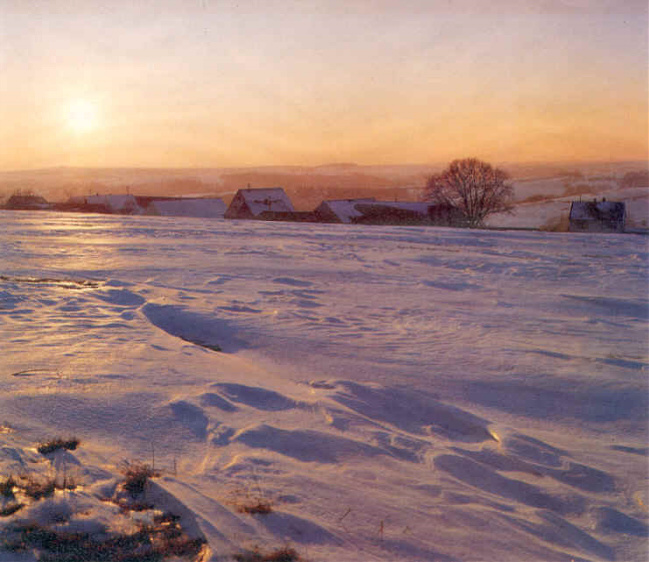 Bild Winter Scharrhof